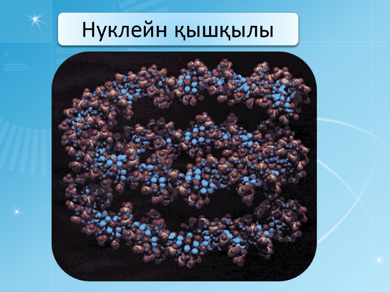 Нуклейн қышқылы